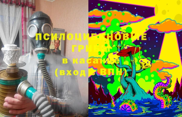 МДПВ Пестово
