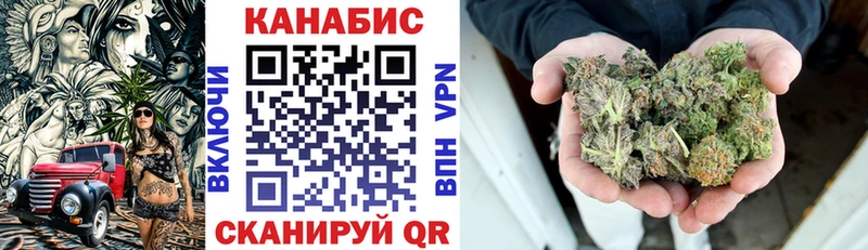 Конопля планчик Алексеевка